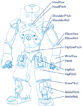 NAO joint structure and DH coordinate frames